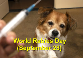 World Rabies Day (September 28)