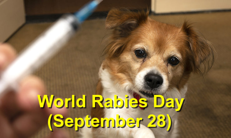World Rabies Day (September 28)