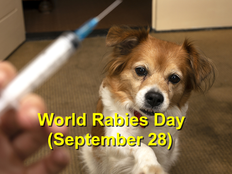 Read more about the article World Rabies Day (September 28)