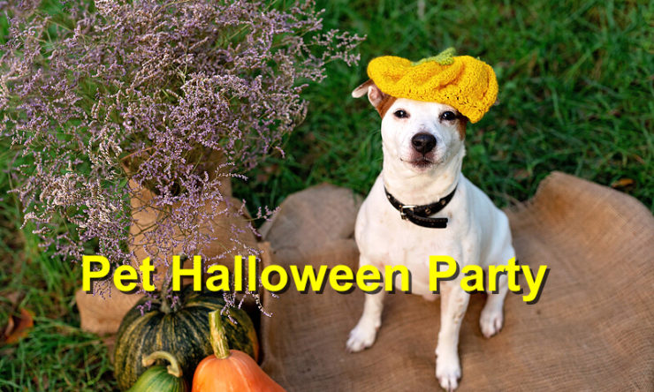 Pet Halloween Party